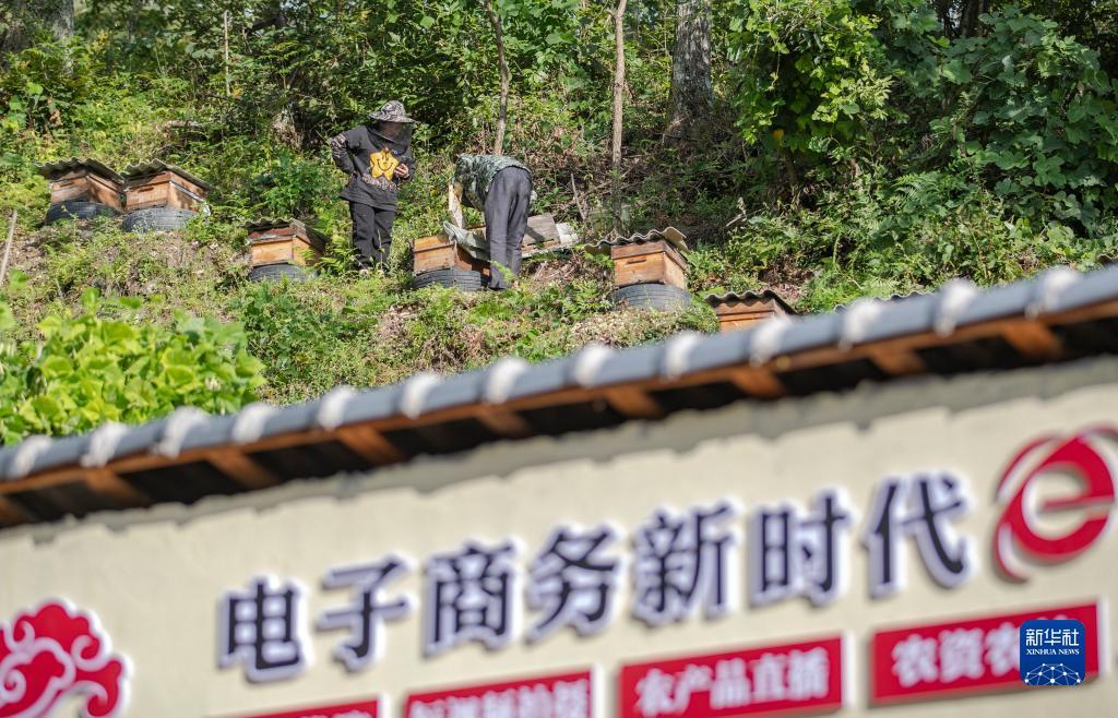 埃及拉霸